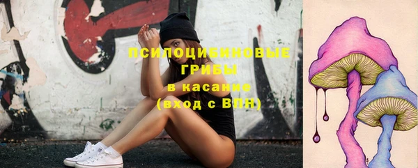 марки lsd Дмитриев