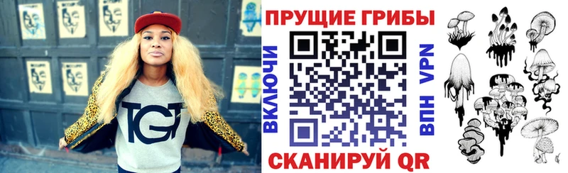 Псилоцибиновые грибы Psilocybine cubensis  Купить где  Можайск 